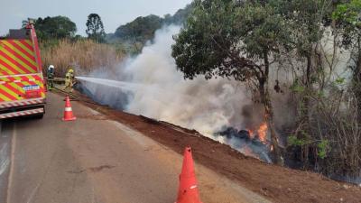 CandÃ³i: CaminhÃ£o tombado com carga de madeira Ã© incendiado apÃ³s tentativa de saque da carga na BR 277